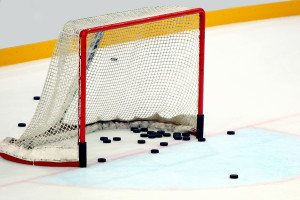 hockey practice net