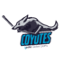 LGS-Coyotes-Spring-Hockey
